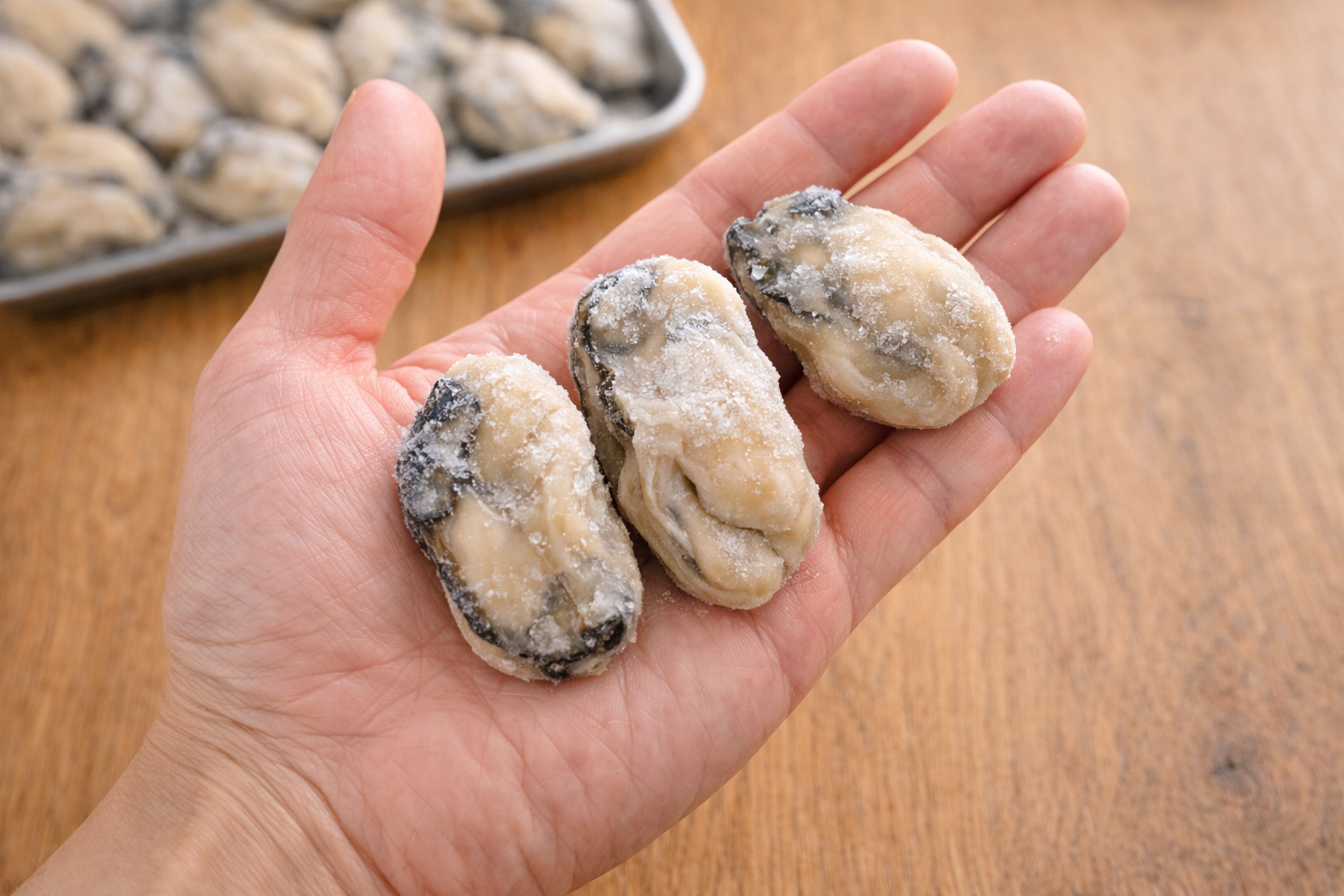 手のひらに乗せた冷凍牡蠣のむき身の大きさ比較｜家庭用1kg冷凍牡蠣のサイズ感がわかる写真