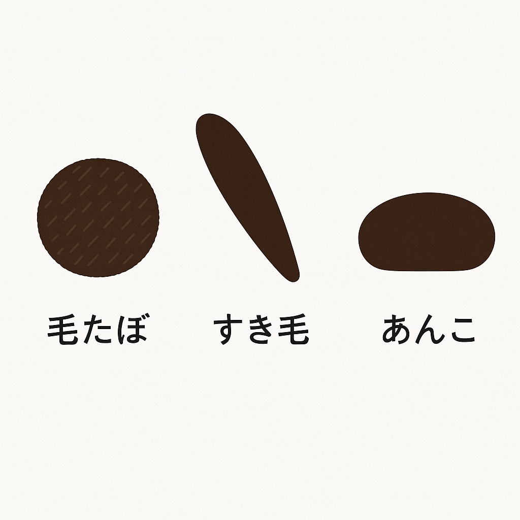 和装ヘアで使うヘアパッドの種類を比較した図。丸い毛たぼ、細長いすき毛、楕円形のあんこが並んで描かれ、形の違いがひと目でわかるイラスト。